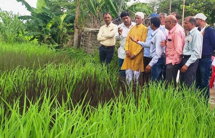 जैविक खेती से करें मिट्टी का श्रृंगार,फसल चक्रण से उत्पादन होगा भरमार