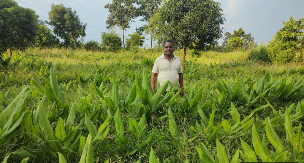 राष्ट्रीय बागवानी मिशन योजना का कृषक ले रहे हैं लाभ