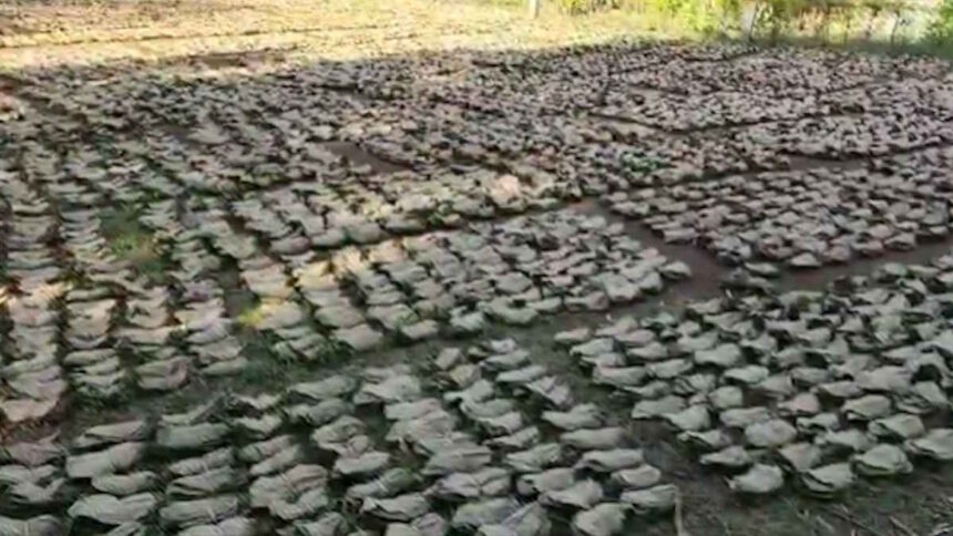 तेन्दूपत्ता पारिश्रमिक वितरण में घोटाला, 11 वनोपज समिति प्रबंधक बर्खास्त, संचालक मंडल भंग