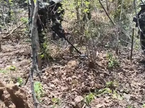 BREAKING : छत्तीसगढ़-महाराष्ट्र बॉर्डर पर बड़ी कार्रवाई, C-60 कमांडोज ने 4 नक्सली ढेर किए, सुकमा में भी मुठभेड़