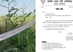 CG News: दुर्ग में 9 एकड़ मक्का के खेत के बीच अफीम उगा रहे थे BJP नेता, पार्टी ने दिखाया बाहर का रास्ता